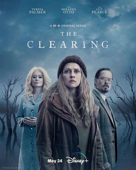 CLEARING 2023 TOP HINTS AND TIPS.